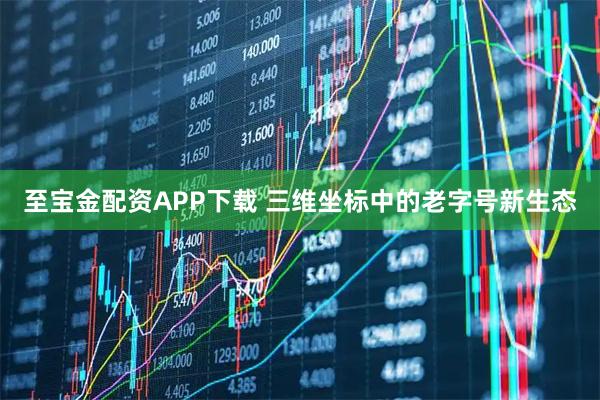 至宝金配资APP下载 三维坐标中的老字号新生态