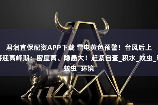 君润宜保配资APP下载 雷电黄色预警！台风后上海将迎高峰期：密度高、隐患大！赶紧自查_积水_蚊虫_环境