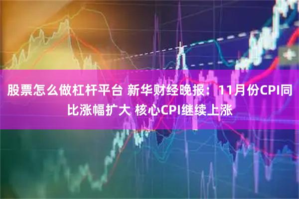 股票怎么做杠杆平台 新华财经晚报:11月份CPI同比涨幅扩大 核心CPI继续上涨